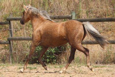 KALINOU DE L&#039;OUBLAN