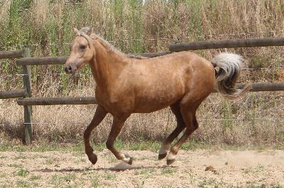 KALINOU DE L&#039;OUBLAN