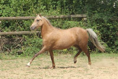 KALINOU DE L&#039;OUBLAN