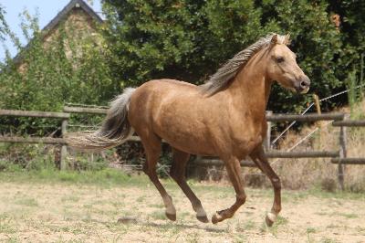 KALINOU DE L&#039;OUBLAN