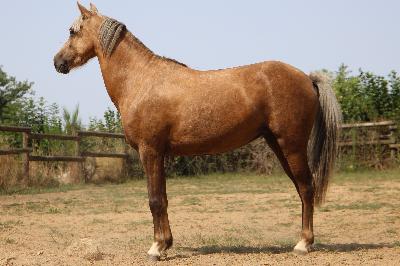 KALINOU DE L&#039;OUBLAN