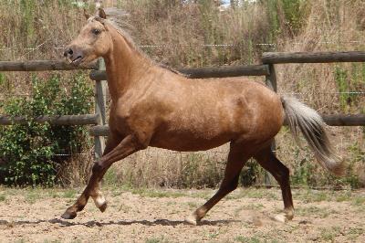 KALINOU DE L&#039;OUBLAN