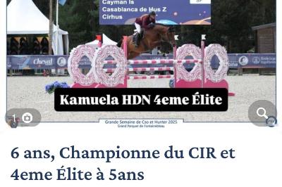 KAMUELA HDN