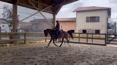 KYNDIA DE FARJONNIERE