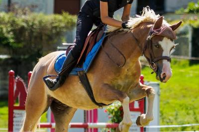 KIA LE LOOK D BELOTS