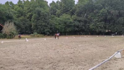 KARLE DE SUZAN AA
