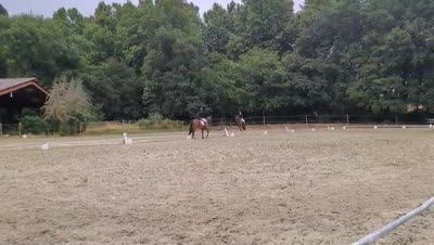 KARLE DE SUZAN AA