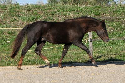 KENNEDY BOURNON BELL