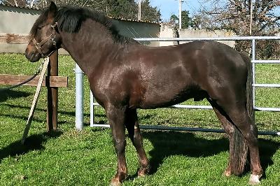 KENNEDY BOURNON BELL