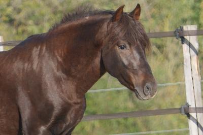 KENNEDY BOURNON BELL