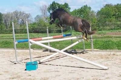 KENNEDY BOURNON BELL