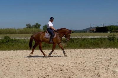 KING BLUE D'AZUR