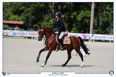 KOOPER STERLING PENA