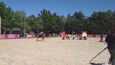 KATNISS DES ROUVIERES