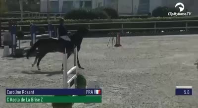 C KEOLA DE LA BRISE Z