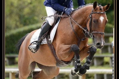 cir compiegne
