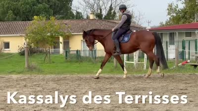 KASALLYS DES TERRISSE