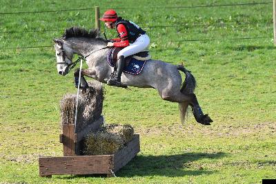 KNIGHT MOONLIGHT ILOA