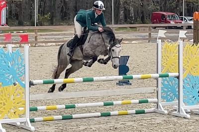 KNIGHT MOONLIGHT ILOA