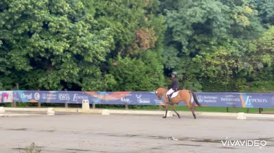 LONELYMOUNTAIN ENDHIL