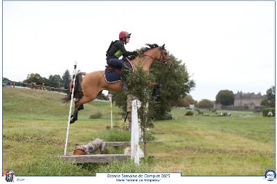 LONELYMOUNTAIN ENDHIL