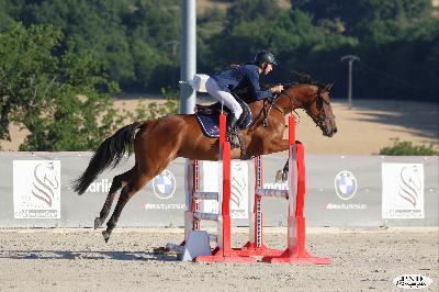 LANDECK D&#039;ELPEGERE AA