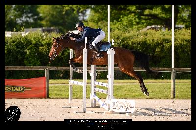 LANDECK D&#039;ELPEGERE AA