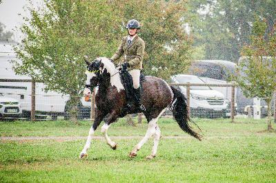LUCKY BOY DES WEPPES