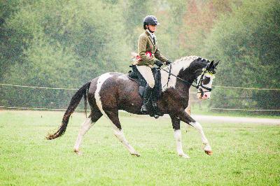 LUCKY BOY DES WEPPES
