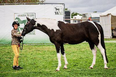 LUCKY BOY DES WEPPES