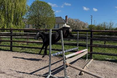 LILIPUCE DE POTTIERE