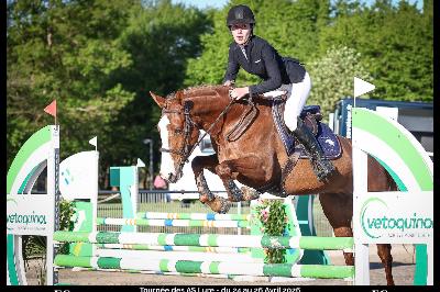 LIQUEUR CHERY DE MEL