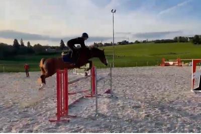 LIQUEUR CHERY DE MEL