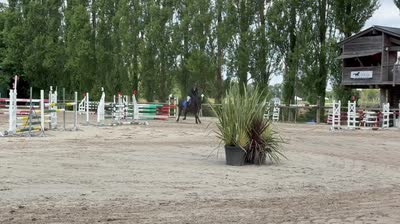 LEGACY D&#039;HARMONIE