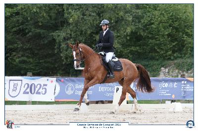 Dressage, finale 4ans