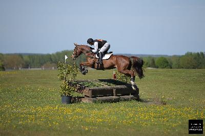 Cross Vernoil 5ans