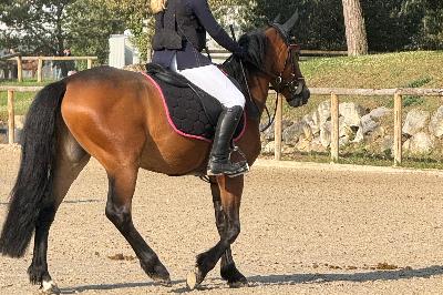 LITTLE STAR DU VANA