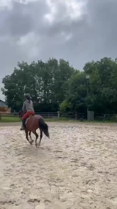 LUNE DU POINT DU JOUR
