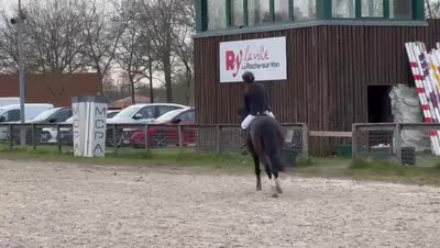 LITTLE LOOK BLAUW