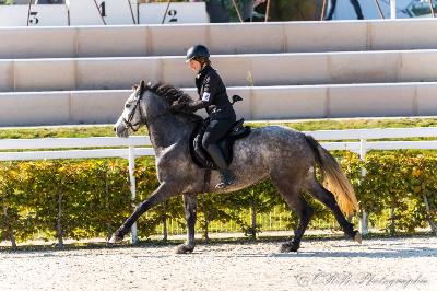 L&#039;ANARCHISTE EMIA