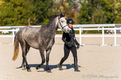 L&#039;ANARCHISTE EMIA