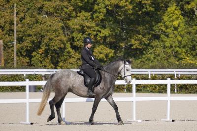 L&#039;ANARCHISTE EMIA