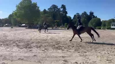 LABETISE DE ZEUS AA