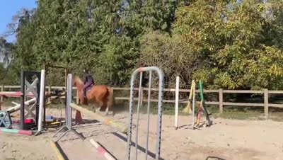 LOVSTORY DE THEYSSAMY