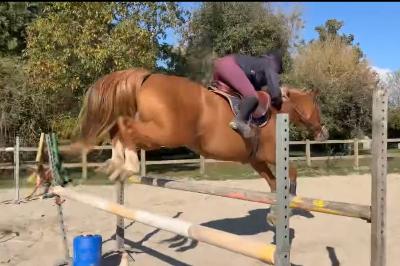 LOVSTORY DE THEYSSAMY