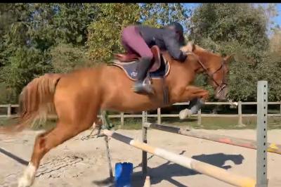 LOVSTORY DE THEYSSAMY