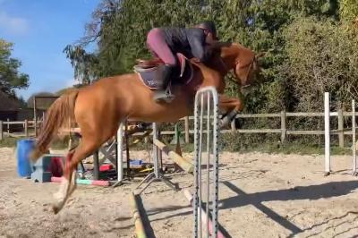 LOVSTORY DE THEYSSAMY