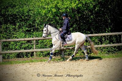 LORDSHIP DE MARLIERE