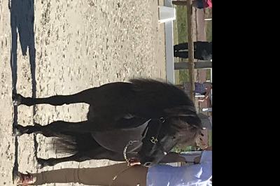 LOUSTIC DE PONTARLEN