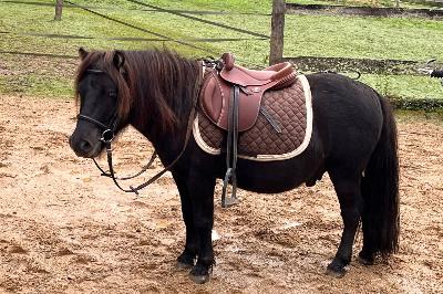 LOUSTIC DE PONTARLEN